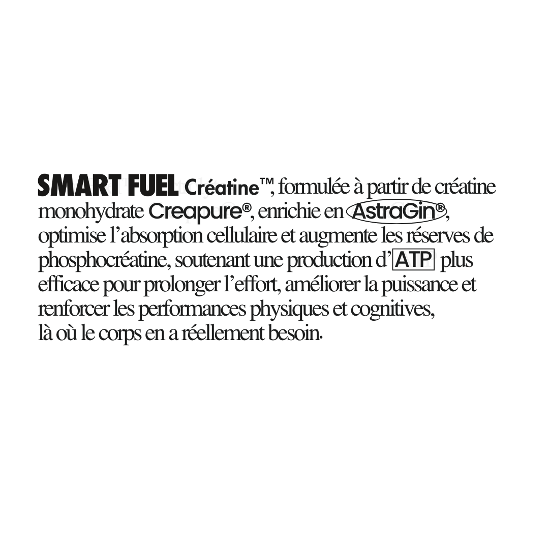 Creatine Monohydrate CREAPURE