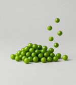Protéines de pois